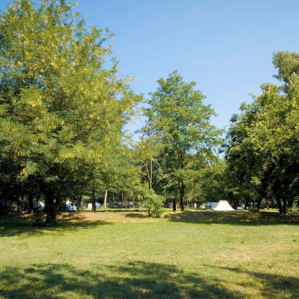 Camping Les Genêts d'Or